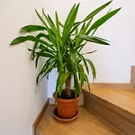 Chaloupka Na Pivovare Appartement